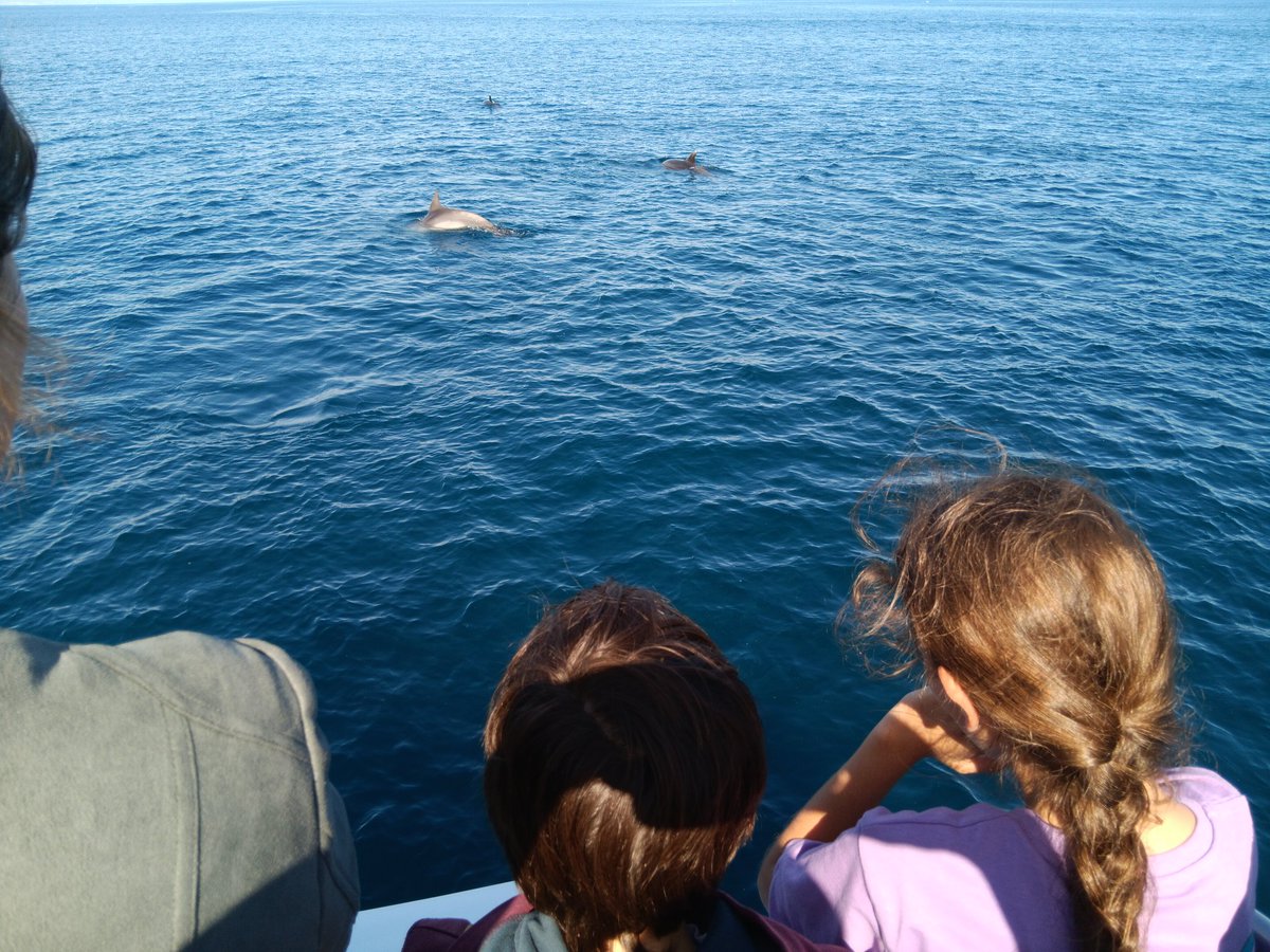 AlqueriaCiclo3's tweet photo. Y sí... objetivo conseguido, los delfines nos acompañaron bailando a la par del barco mientras todos en silencio disfrutábamos de su compañía en su medio natural  🌊🐬🐬 #AlqueríaMálaga https://t.co/mpGBUXRC0C