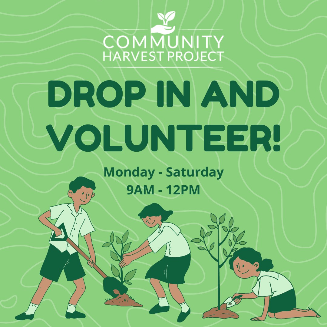 Community Harvest tweet media