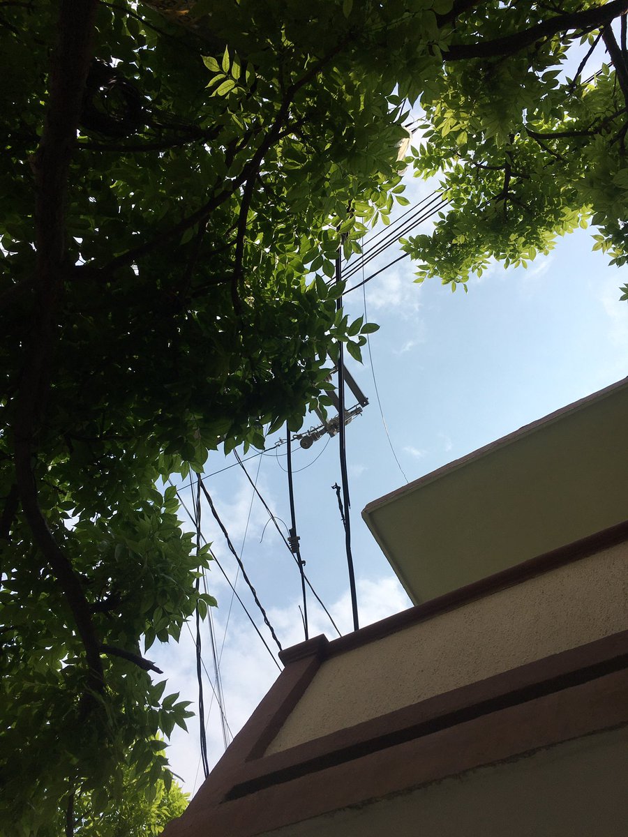 Veracruz Vigila tweet media