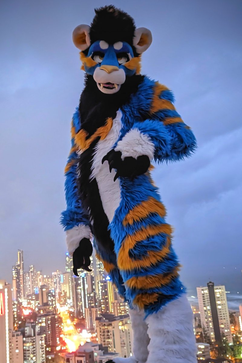 Altin | アルティン 🔜 manedstripes.cat tweet media