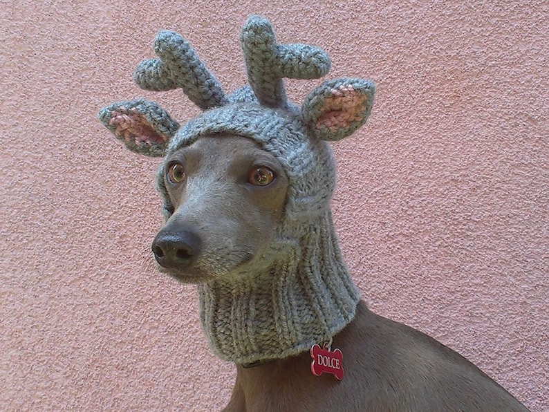 petagadget.com/gadget/reindee… Reindeer Dog Hat / Reindeer Dog Snood / Christmas Dog Hat / #Gadget