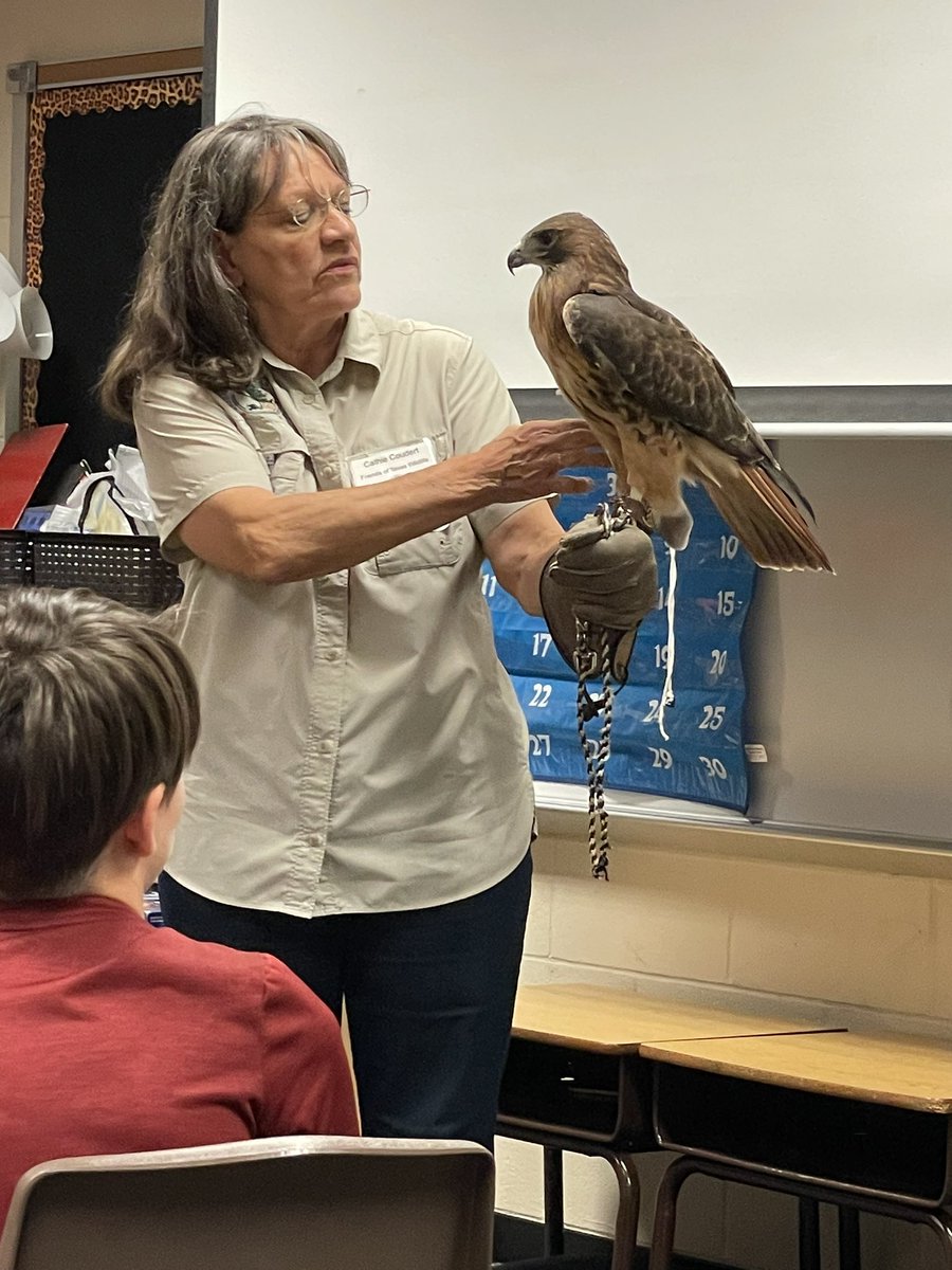 Thank you for the great presentation Friends Of Texas Wildlife! <a href="/HumbleISD_HHE/">Hidden Hollow Elementary</a> 
<a href="/mrshoward_HHE/">Jennifer Howard</a>