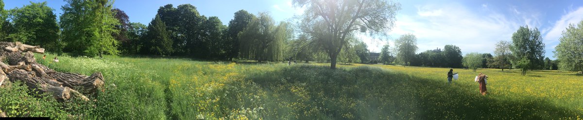 Mammals in search of beetles in a sunny water meadow <a href="/magdalenoxford/">Magdalen College</a> <a href="/OxfordBiology/">Oxford Biology</a>
