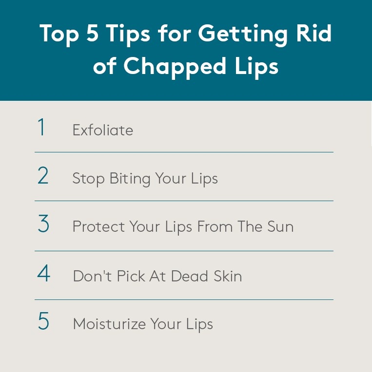 #WednesdayWisdom - Your lips are just an extension of your face! Protect them with these helpful tips! 👄
.
.
. #TransformationBeautyStudio #Beauty #Aesthetics #PermanentMakeup #Brows #BrowGoals #StuartFL #FloridaEsthetician #Cosmetics #Microblading