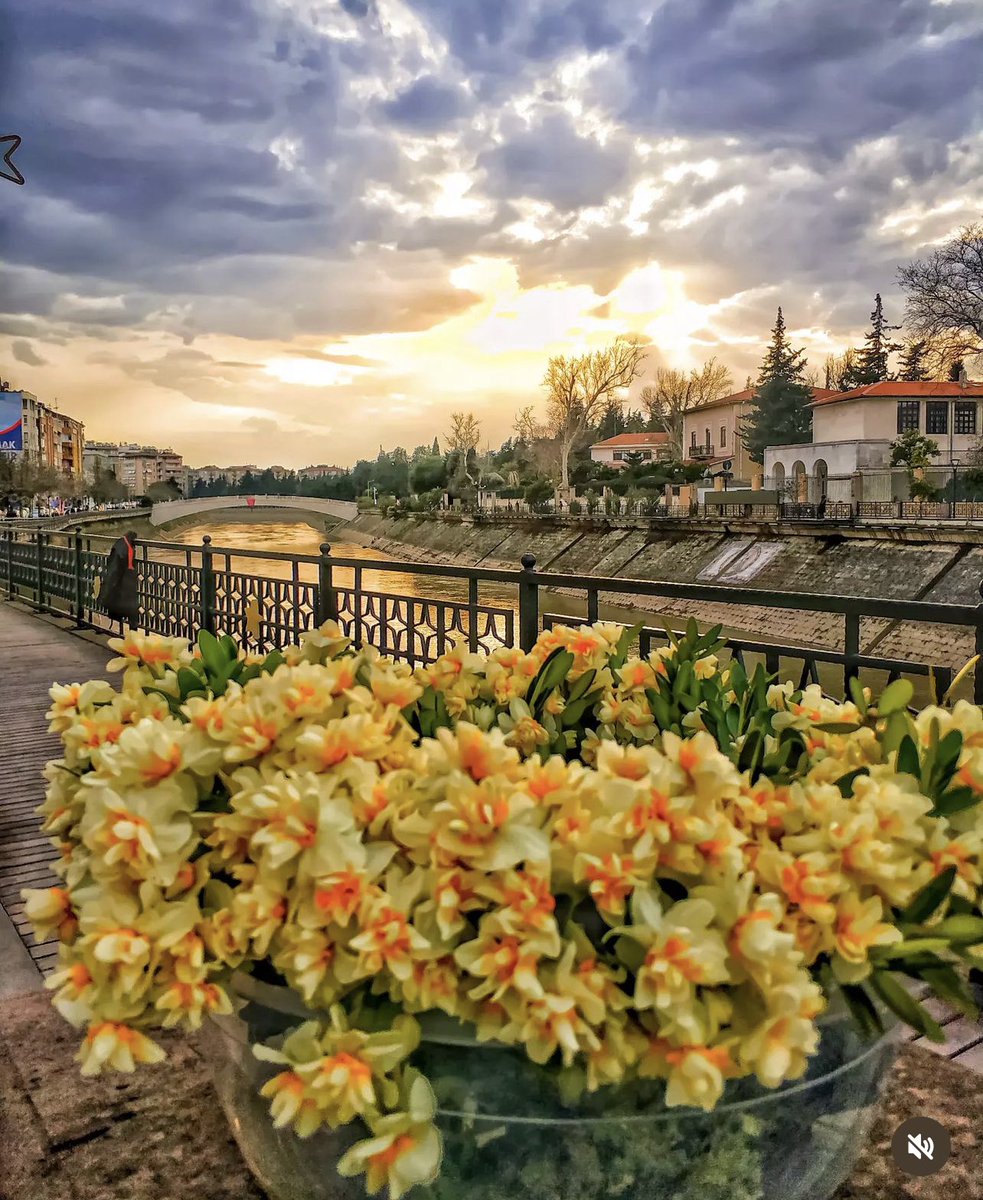 hataylifilozof's tweet photo. Burası halen dünyanın en güzel şehri …

Burası  Antakya 🌸 https://t.co/Wl7ikqSS7G