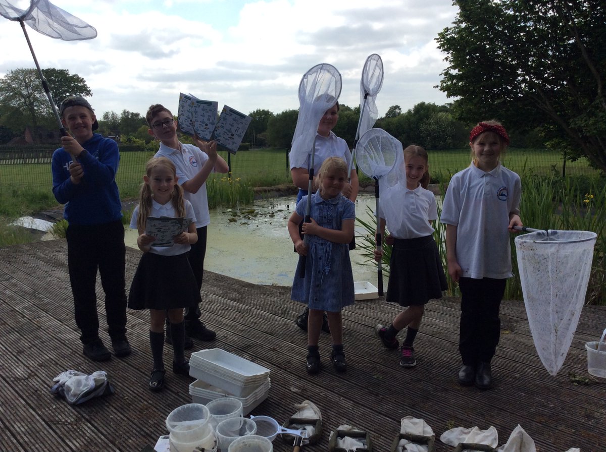 NectonY2's tweet image. The Necton Primary Eco-council were up at the pond today checking the equipment and trying out the new long-handled pond dipping nets and field study guides donated by our lovely FOSA parents group. We caught 5 baby newts in one sweep! Thanks FOSA! 🦎🐸@NectonPrimary