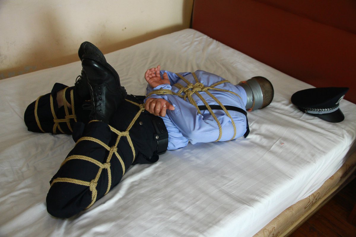 GZ_Zhong's tweet image. 捆熊焕