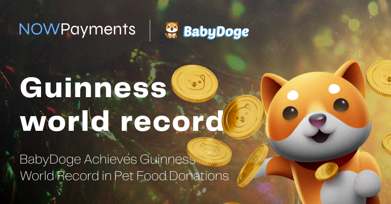 NOWPayments tweet media