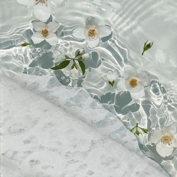 La vie est belle (@lavieestbelie) on Twitter photo 