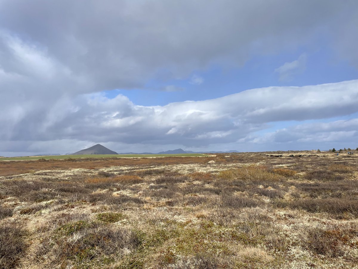 MichelePeron3's tweet photo. Watching, listening and recording in the north east of Iceland https://t.co/Ikt1YLpVCJ