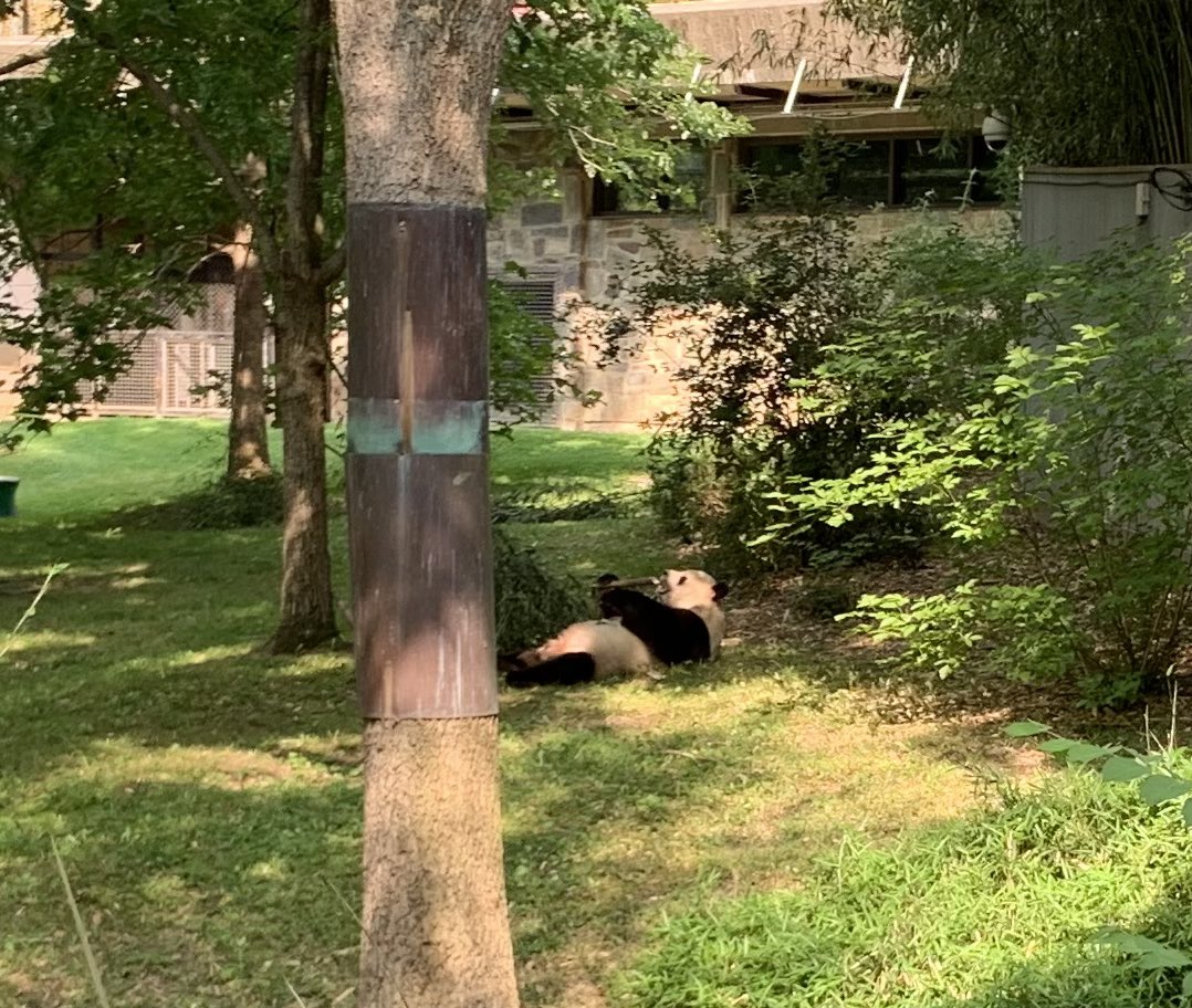 Stony Brook School tweet media