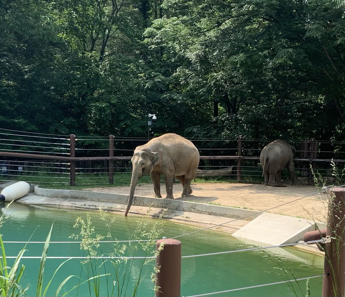 Stony Brook School tweet media