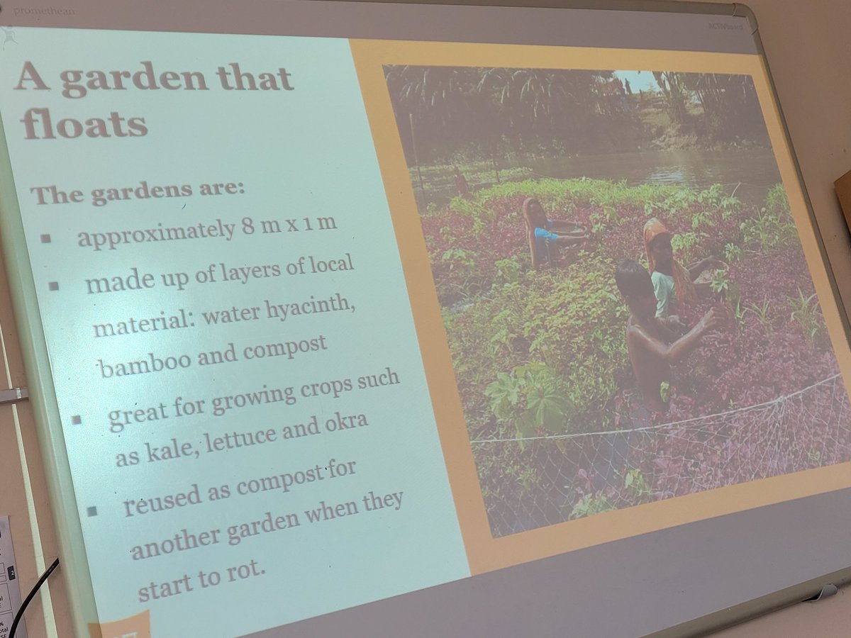 Science (@wyhighscience) on Twitter photo #STEMclub took on the Bangladesh floating garden challenge today <a href="/PracticalAction/">Practical Action</a> with lots of enthusiasm <a href="/WyHighAcademy/">Wymondham High Academy</a> the floating mat of individual pods was a definite winner in the testing phase (although a little bit of cheating with extra milk bottle tops!) Nice work all👏 #STEMclub took on the Bangladesh floating garden challenge today <a href="/PracticalAction/">Practical Action</a> with lots of enthusiasm <a href="/WyHighAcademy/">Wymondham High Academy</a> the floating mat of individual pods was a definite winner in the testing phase (although a little bit of cheating with extra milk bottle tops!) Nice work all👏