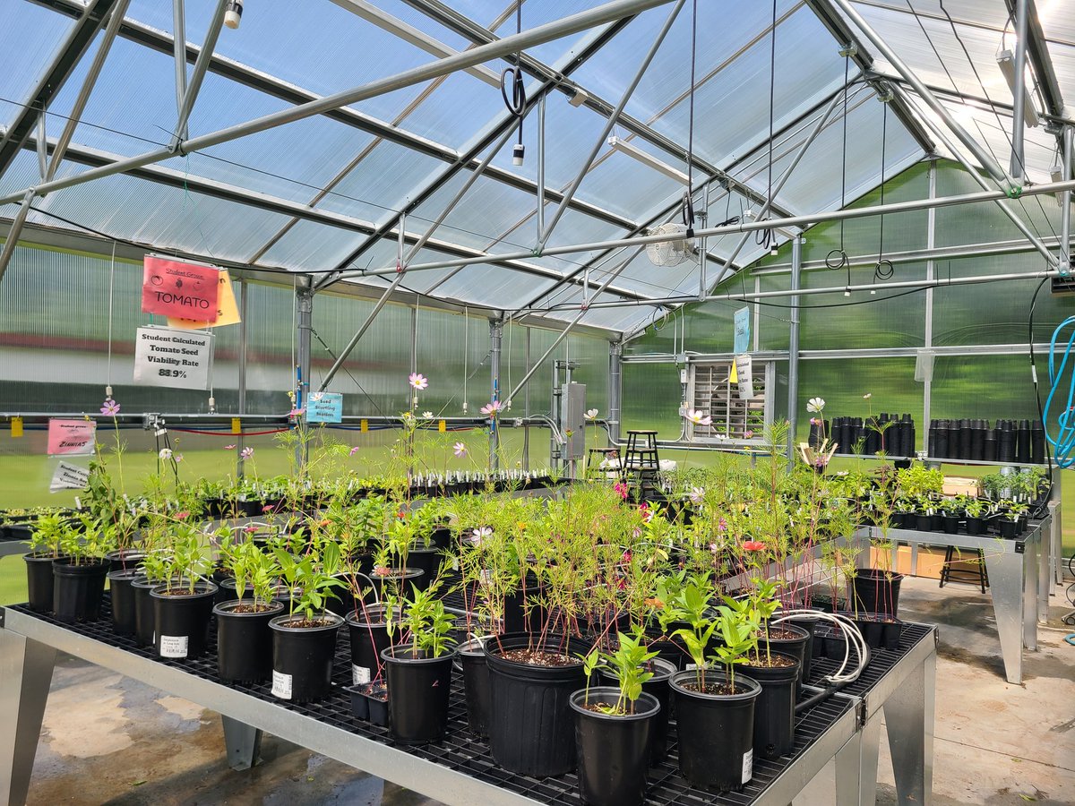 STEAMGardensBMS's tweet photo. First Plant Sale of the new greenhouse!🪴🍅🫑Join us! https://t.co/2tRY2uKuez