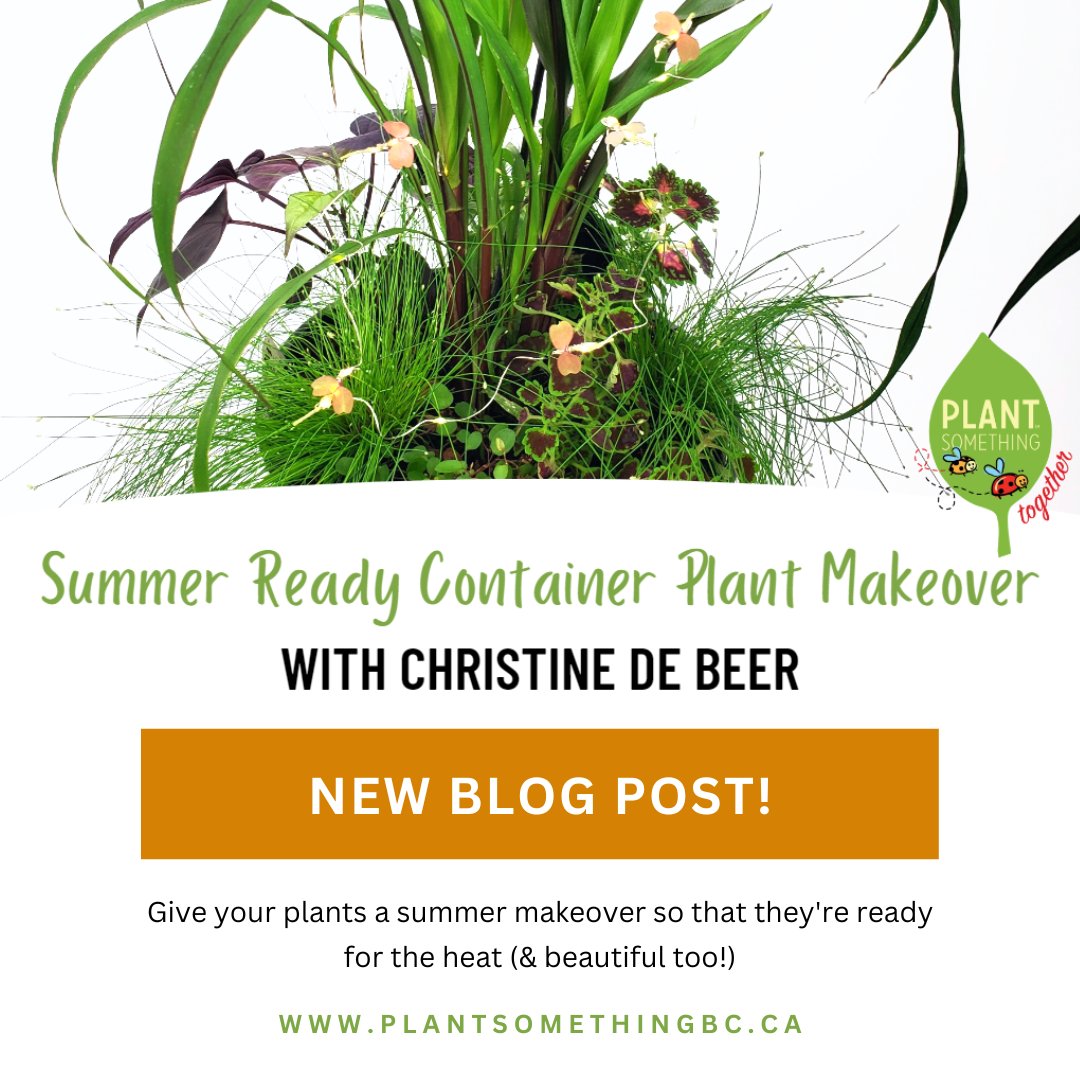 Plant Something Together tweet media