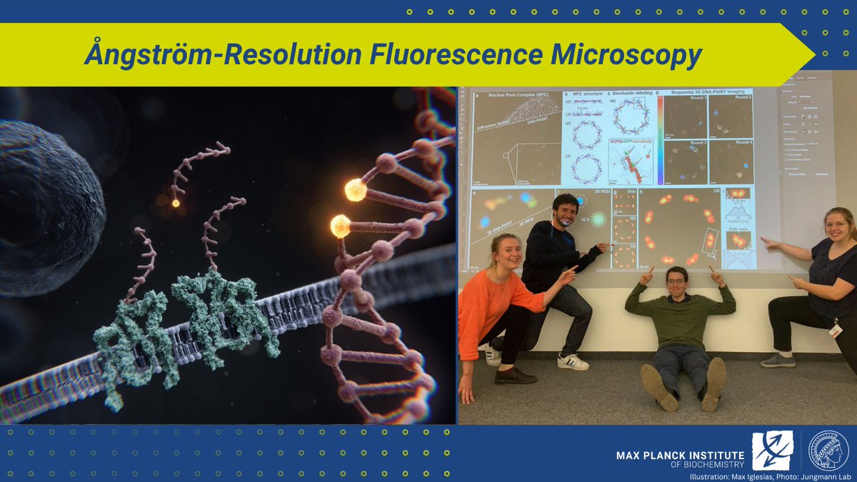 Max Planck Institute of Biochemistry (MPIB) tweet media