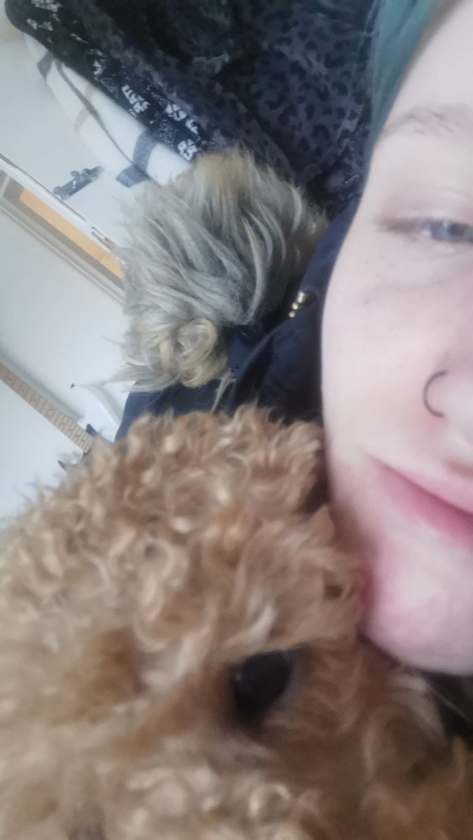 Bethxny_06's tweet photo. Here's me and red... But besides that. Come join my stream 🙂
https://t.co/BNHdjPxZq0
#Fortnite #girlgamer #Live #twitchstreamer #games https://t.co/yX8mHAS8l1