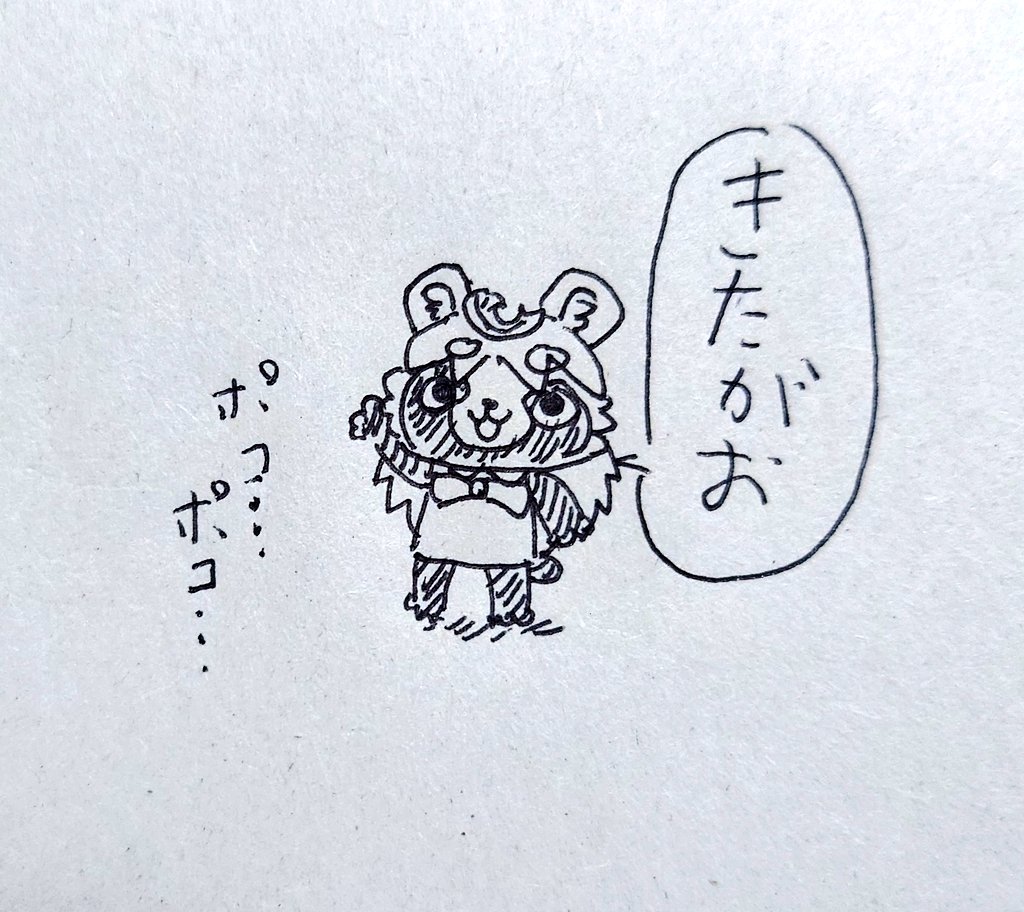 きたがお ぽこ