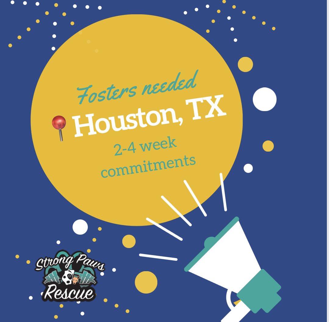 STRONGPAWSNY's tweet photo. ‼️HOUSTON, TX WE NEED YOUR HELP‼️We have dogs in need of short term foster homes to help them get transport ready. We are in desperate need foster placements. If you’re available to help, please comment, PM or visit our website to complete an app: https://t.co/PnEsXbTSYP https://t.co/pVl0tPQjxi