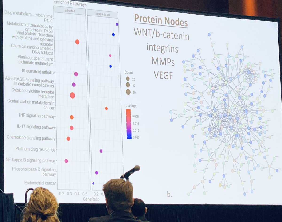 drdayjee's tweet image. In one of the final sessions of #ATS2023 Justin Oldham from @UMich presents really cool data on:

“Proteomic determinants of IPF survival” 

Findings from this study identify proteins with prognostic value as well as risk for substantial lung function diminution.