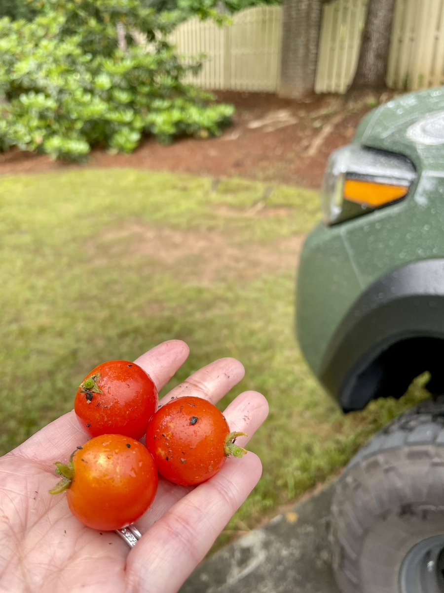 angela hansberger tweet media