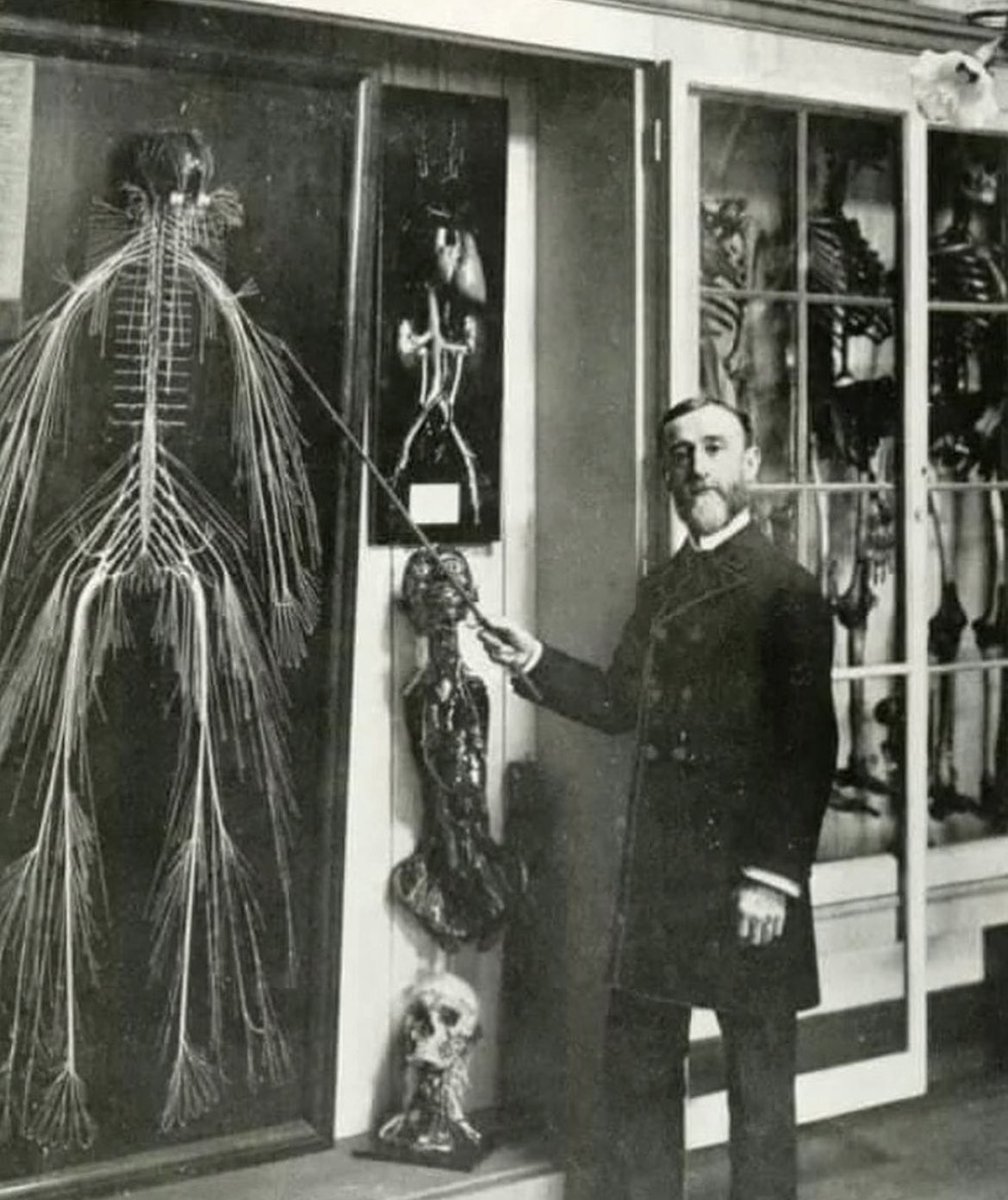 Two medical students spent over 1,500 hours dissecting and successfully preserving one out of four fully intact human nervous systems in 1925.