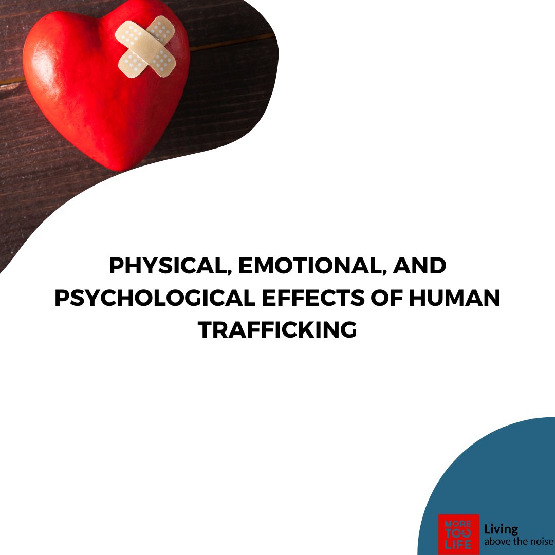 @realmoretoolife tweet media