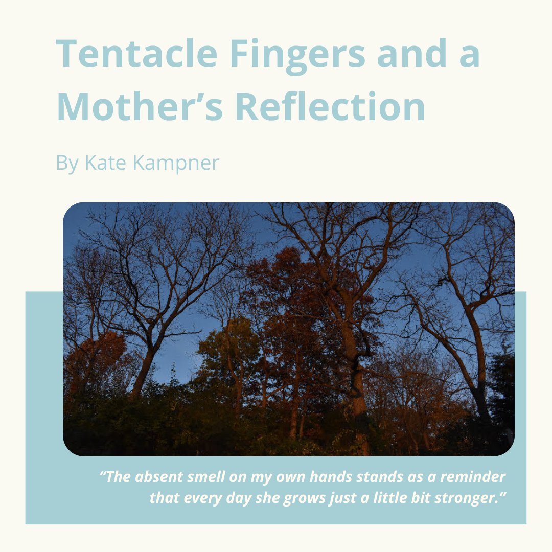 New short fiction from Kate Kampner: jgirlsmagazine.org/2023/05/tentac…

📸: “Tree Shadows” by Hannah Rubenstein