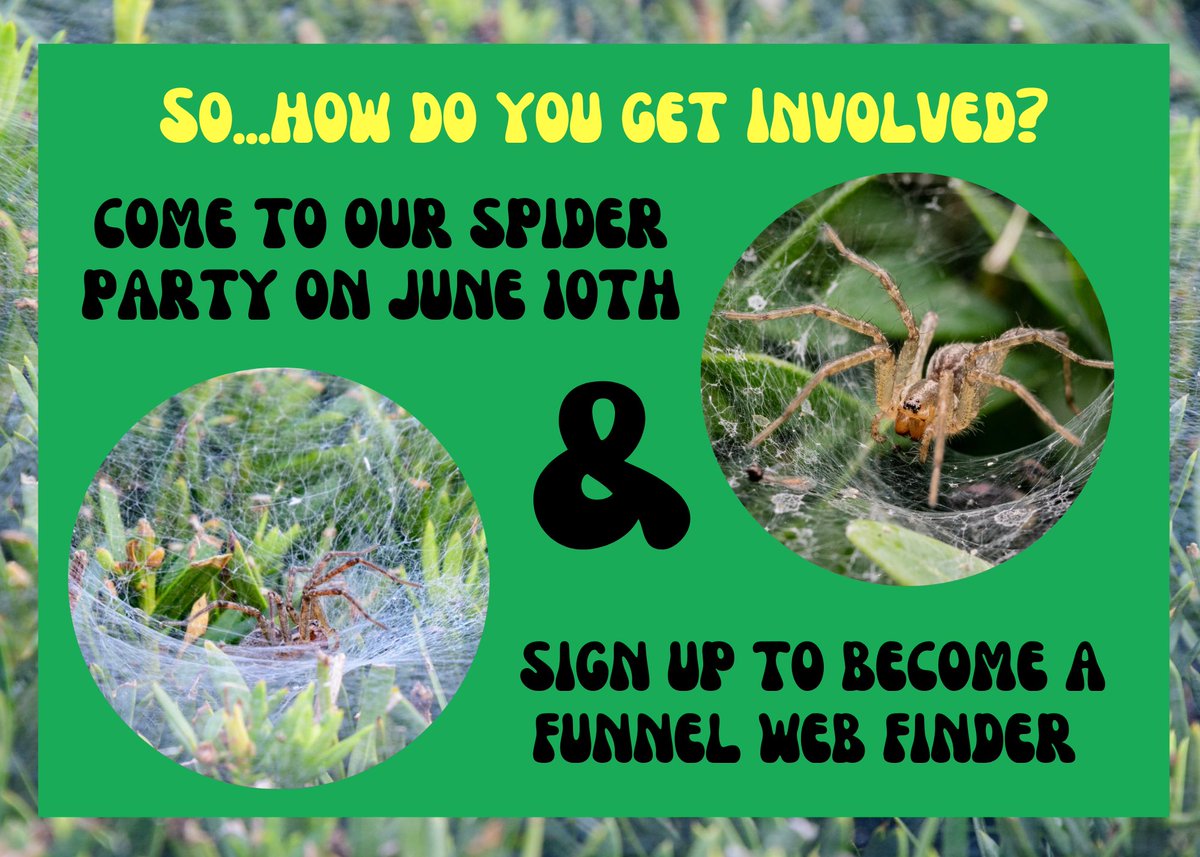 We’re so excited to launch our newest initiative, Spidey Sens-r, founded by Dr. Chris Hawn (co-director of Research and Education) in 2018. Spidey Sens-r makes air quality monitoring accessible for your neighborhoods and communities! #EnvironmentalJustice #AirQuality