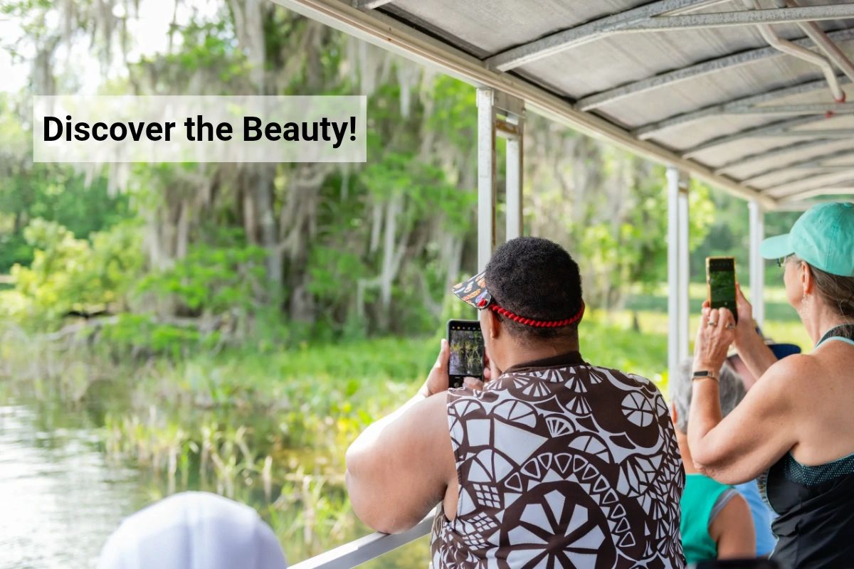 SingingTours's tweet photo. Experience the breathtaking views of Rainbow River with us at Singing River Tours! Our community-oriented tours are full of excitement and will leave you with unforgettable memories. #SingingRiverTours #RainbowRiver #Ecotour https://t.co/RKfxFtZul4
