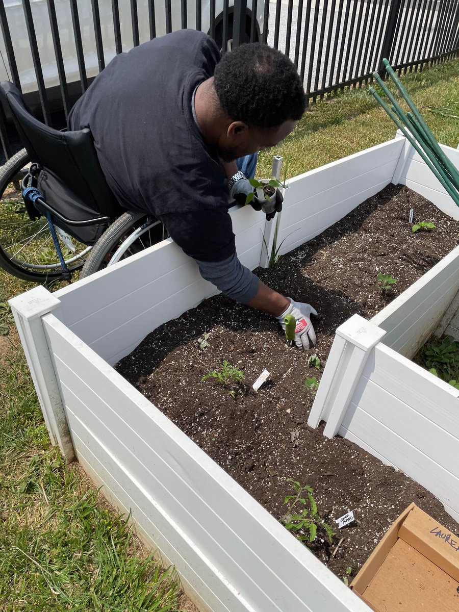 LibertyCIL's tweet photo. 🌱 Yesterday at garden group, we planted our tomatoes, peppers, and thyme!

Our next Garden Group meets on June 19th!

To register, visit: https://t.co/iZbD6Zm8I4
You can also email LaurenAlden@LibertyResources or call (215) 634-2000 Ext. 325 for more information https://t.co/cLQIswS7WH