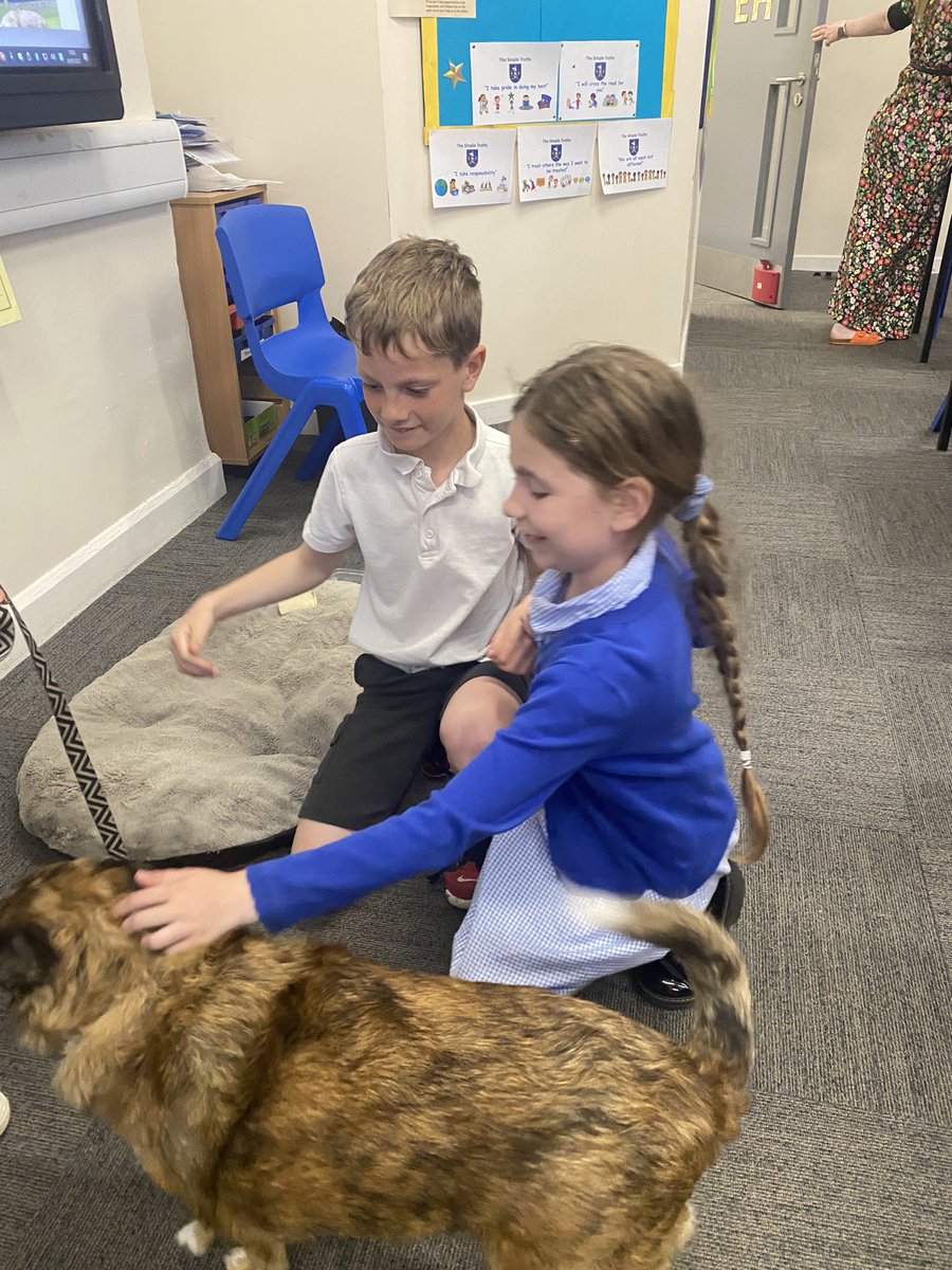 latimerprimary's tweet image. The Latimer mascot is back! 💙🌟Mrs Hederington’s dog, Lola, came to visit #ClassEH this afternoon as part of #LatimerHealthandWellbeingWeek