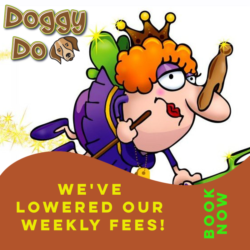 DoggyDoServices's tweet image. How does $12.99 per week sound?
wix.to/oypsYKd
#Lethbridge #Taber #PooperScooper #Dog #Poop