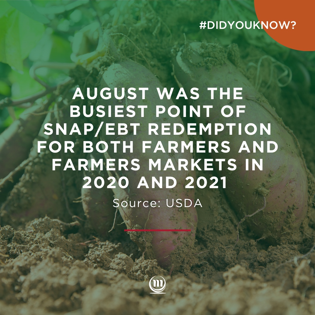 You still have time to start on your SNAP authorization for the season through MarketLink. Email them at info@marketlink.org to get started! 

#nutritionsecurity #foodaccess #snapebt #snaptomarket #snapmatters #snapbenefits #localproduce