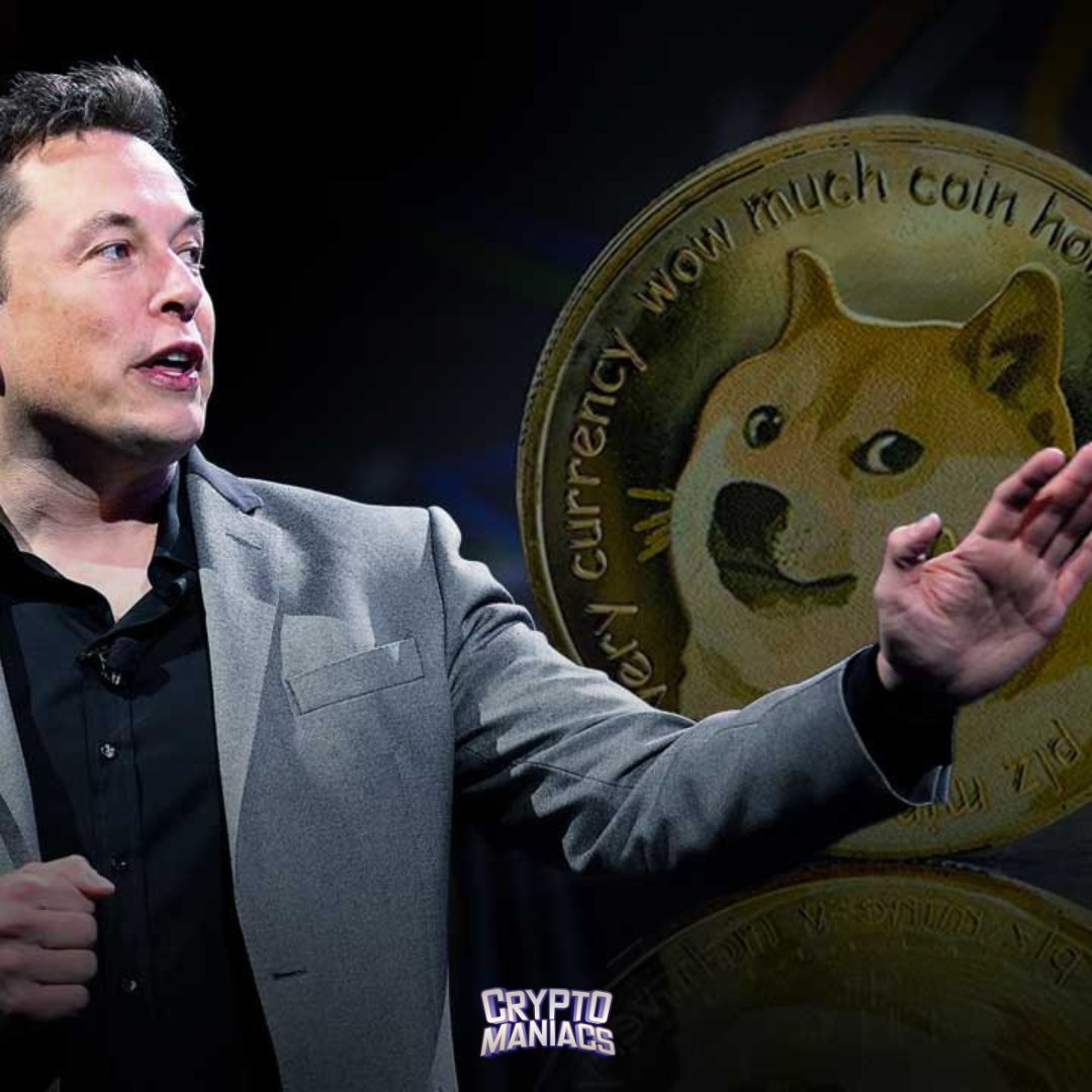 CryptoManiacsMX's tweet image. ELON MUSK DESANCOSEJA INVERTIR EN DOGE. 🐶

Durante la conferencia de Wall Street Journal, el CEO de Tesla menciono que no pretende alentar a nadie a apostar por las criptomonedas, ni si quiera en DOGECOIN, a pesar de su fanatismo por el token.

#Doge #Criptomonedas #Cript