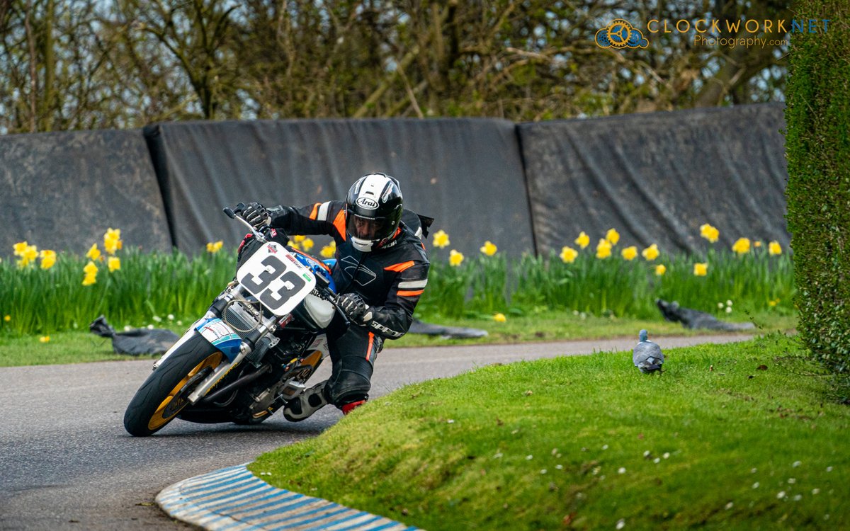 So I am concious it has just been motorsport, motorsport, motorsport in this account in 2023. So I figured I would have a change & post a wildlife shot! Taken during a recent visit to the coast at Scarborough. | #roadracing #bikeracing @MountOlivers #oliversmount