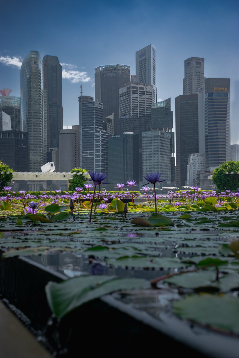 Singapore skyline as seen from the ArtScience Museum
📍 ArtScience Museum
🇸🇬 Singapore
🗓️ 2023-04-04