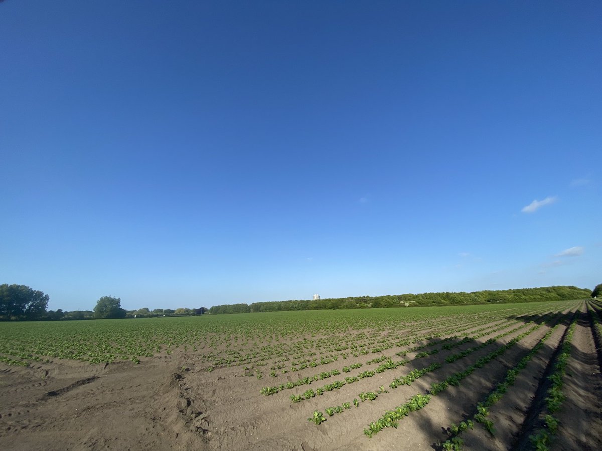 KirkleesFoodLab's tweet image. Food production at the city limits #CRFS