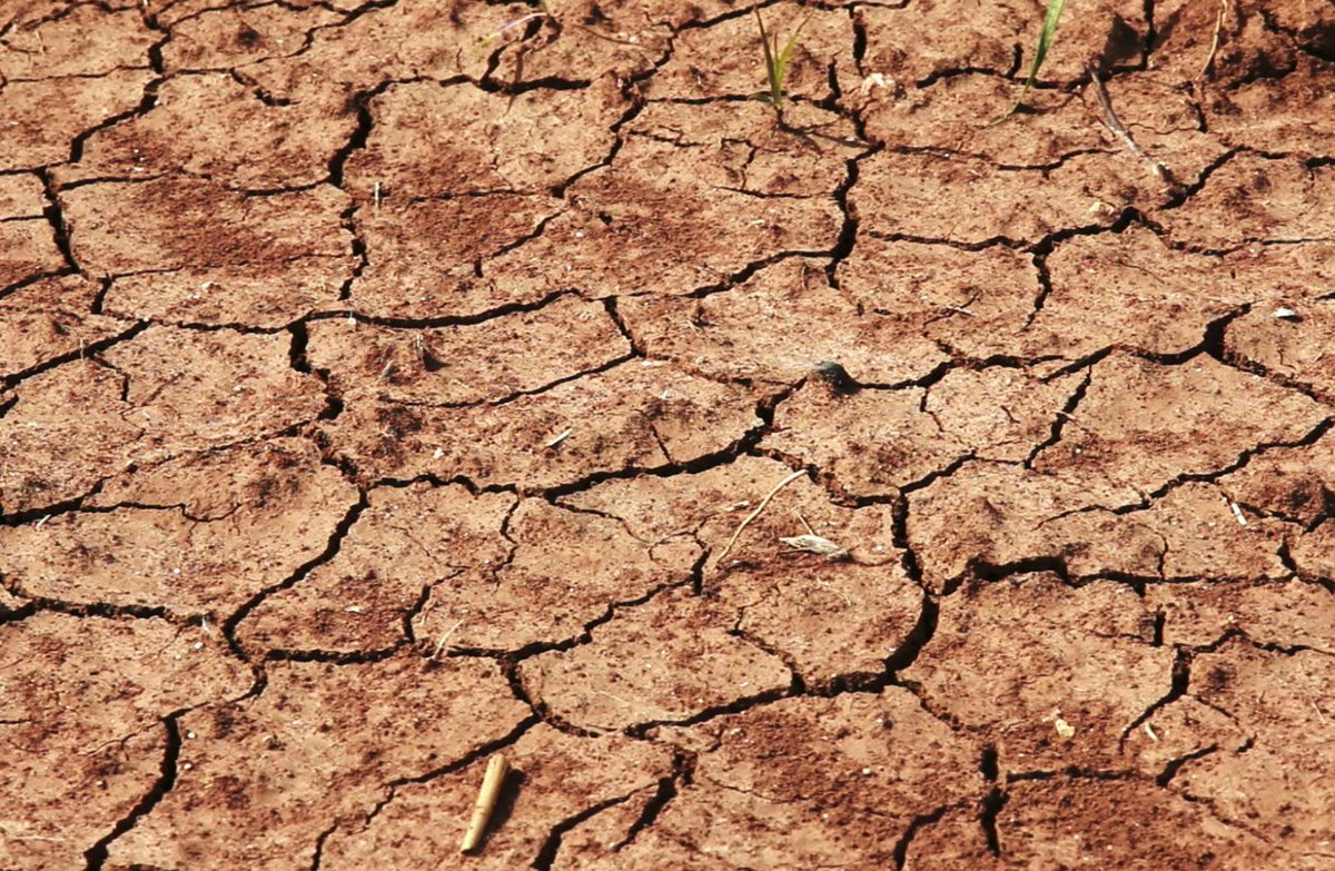 💦 Escassez hídrica: segundo a Plataforma Água Sustentável, que a Quercus integra, a solução não passa por grandes obras grandes obras milagrosas (dessalinizadoras, barragens e transvases).

Consideramos prioritárias estas 14 medidas: shorturl.at/jrLO4