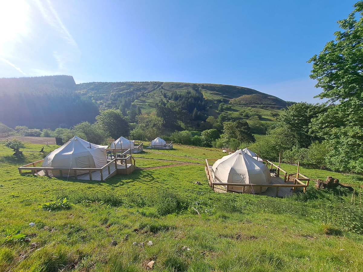 Severn Beach Primary School tweet media