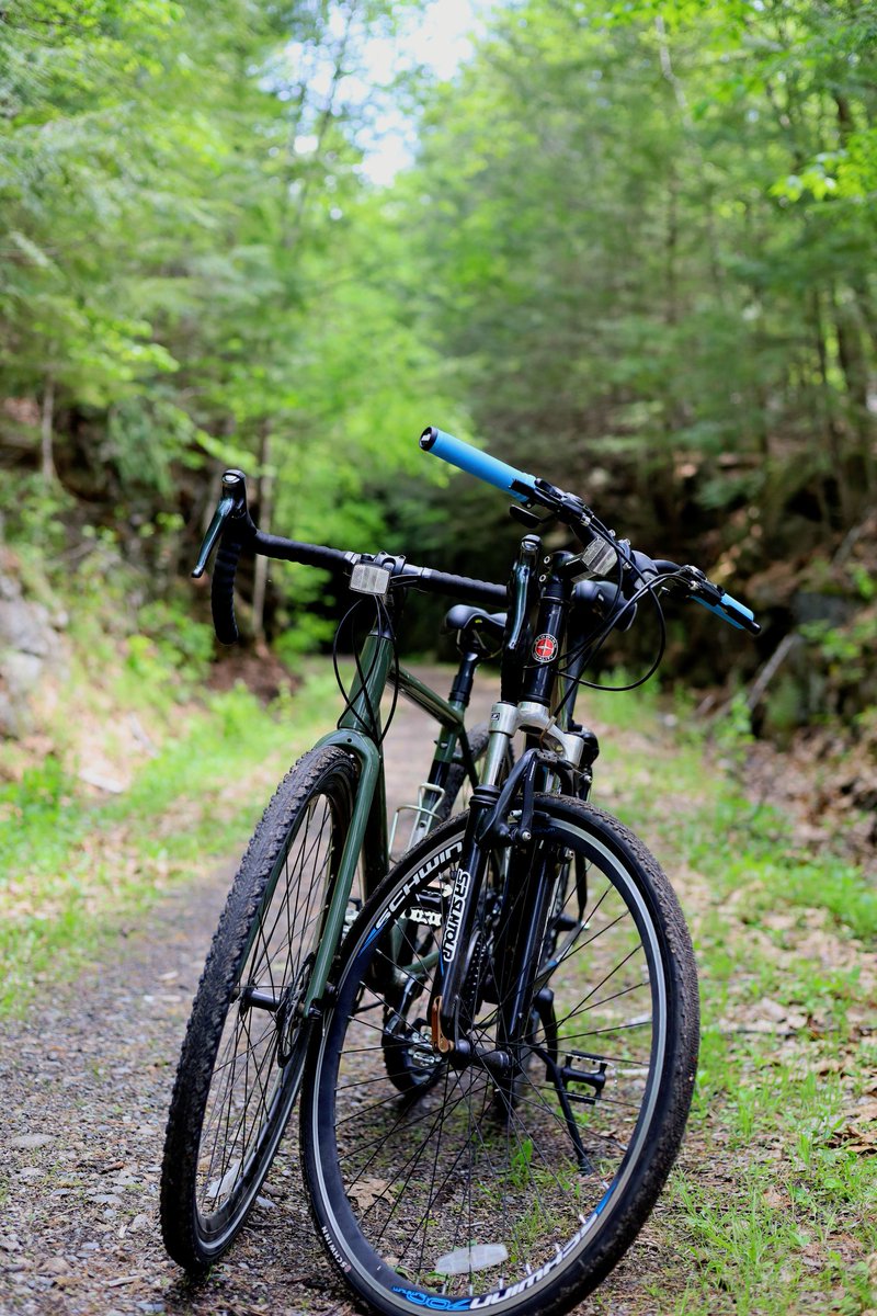 LionNamedColin's tweet photo. Went for a bike ride this weekend with Toast. https://t.co/CZf9Pxl7N4