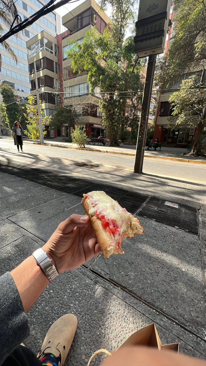 DyLaNtero1's tweet photo. Feliz día del completo. Una maravilla por donde se le vea. Viva Chile 🇨🇱🤝 https://t.co/5n5K6ehwTU