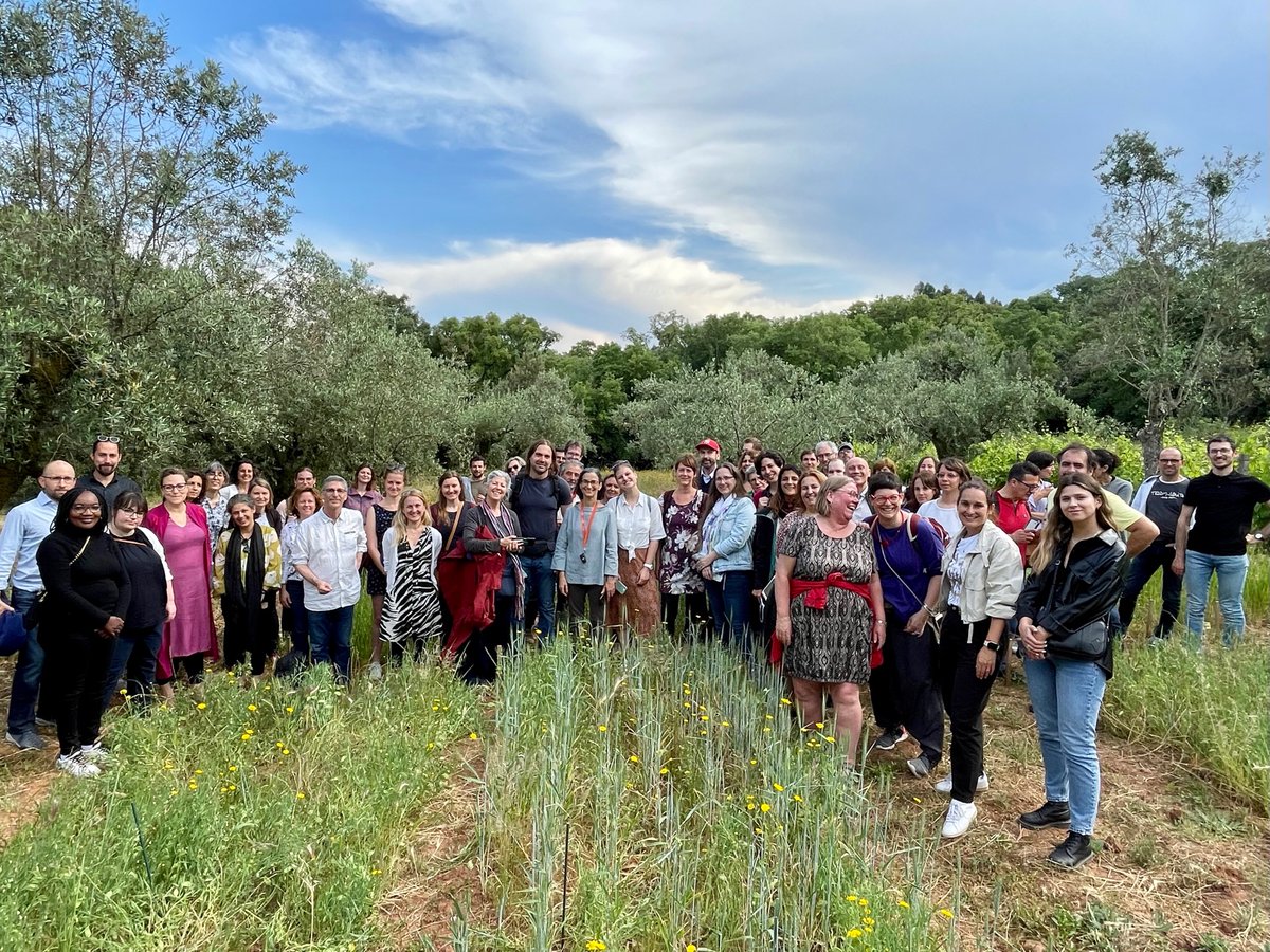 DIVINFOOD's tweet photo. 🌱✨ #Divinfood's Stakeholder days in #Alvaiazere (Portugal) were a great success! We had the opportunity of showcasing the work within Divinfood and especially our Living Lab dedicated to #grasspea. For more info, please register to our newsletter 📩 : https://t.co/vXMBtVXgi4 https://t.co/iOWl5djFbX