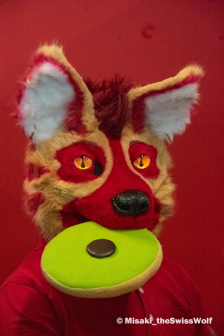 Behold the yeen who is a bean tweet media