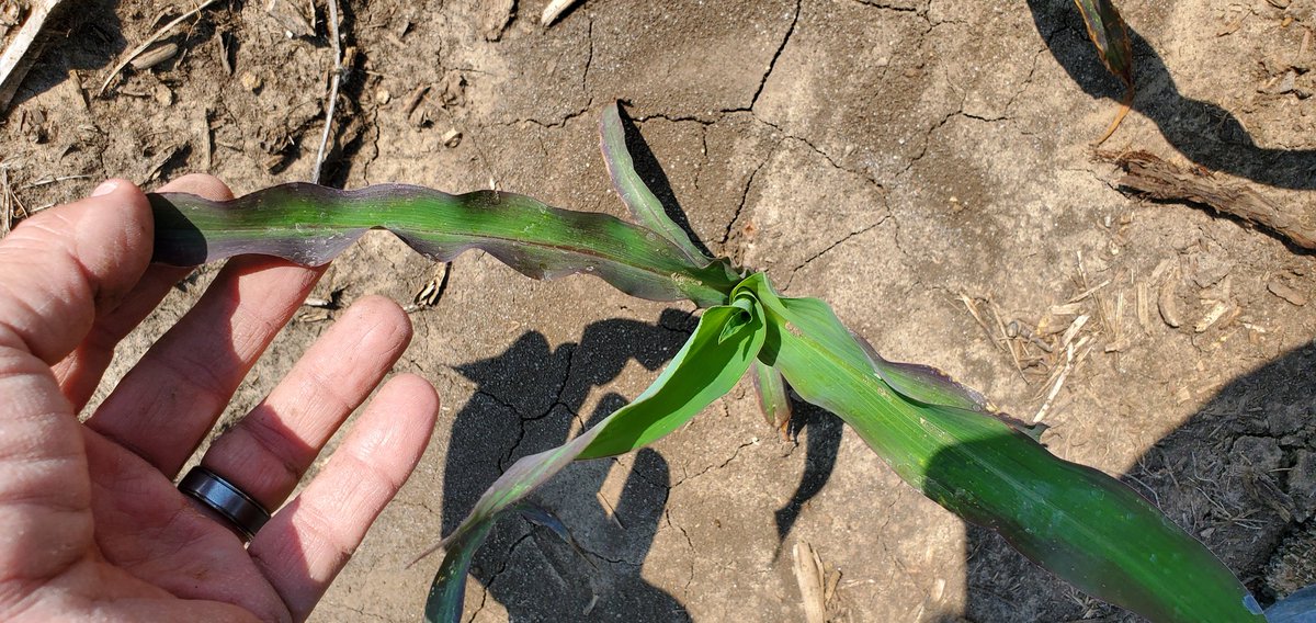 Greg Carpenter tweet media