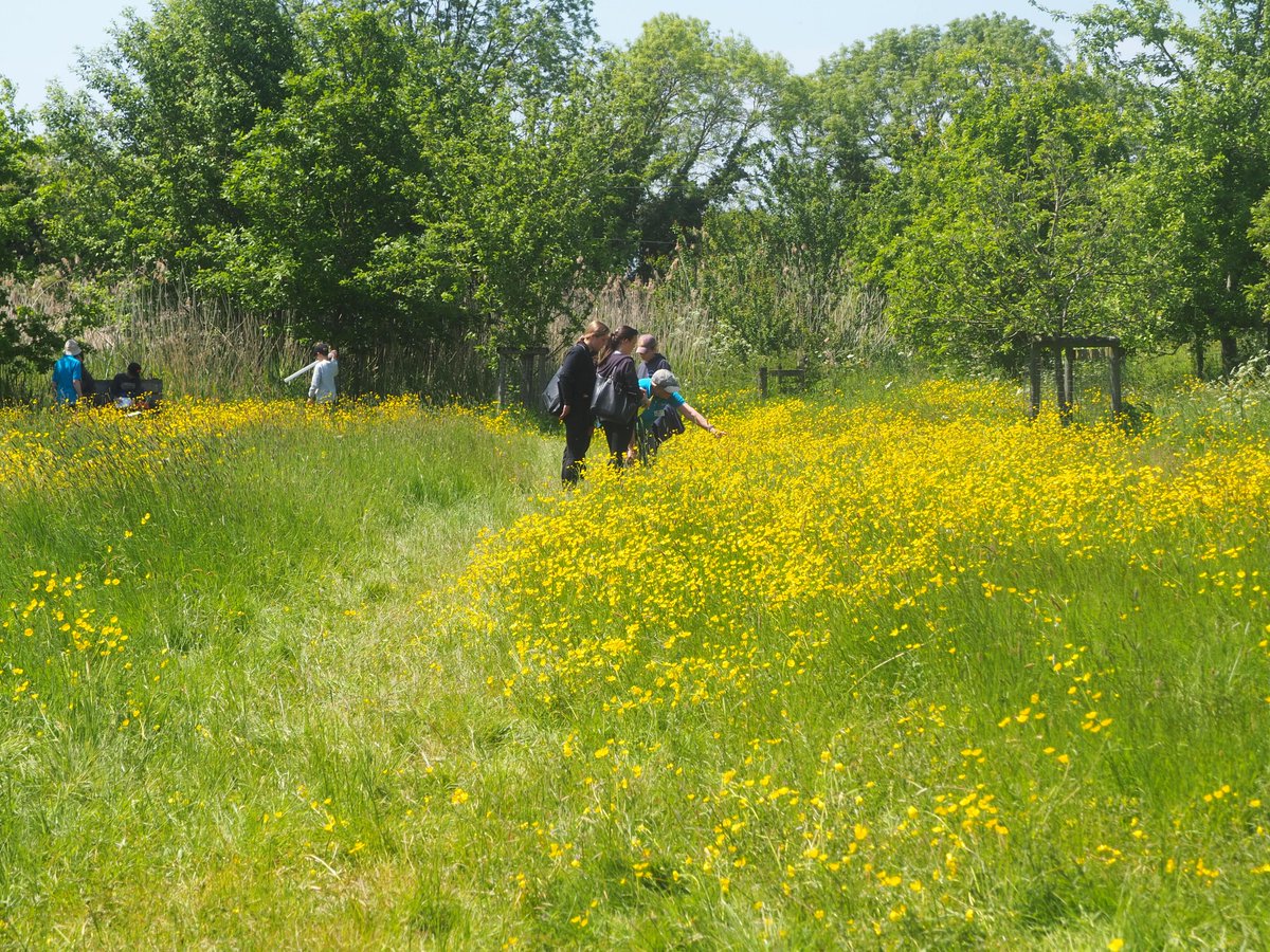 Fantastic educational visit today to the beautiful @WorcsWT #LowerSmiteFarm.  Year 8 students learned about #wildflowers, the important role #pollinators play in our food supply & how we can assess and improve our environment for species recovery.
💚🌼🐝🦋🐞🌳