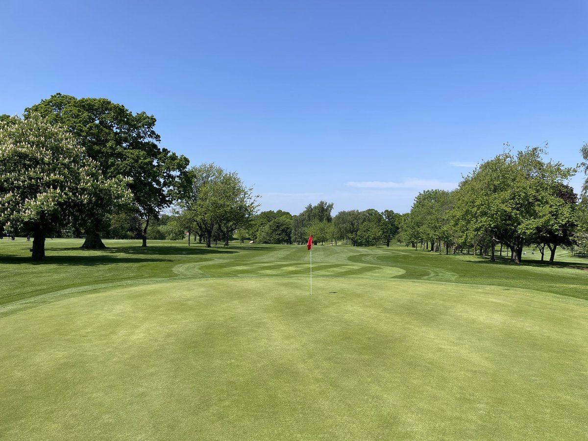 Beautiful week for golf so far at @oltongolfclub ! The greens staff are ramping up the detail and conditions are improving day by day ⛳️ 🏌️‍♂️ 🏌️‍♀️