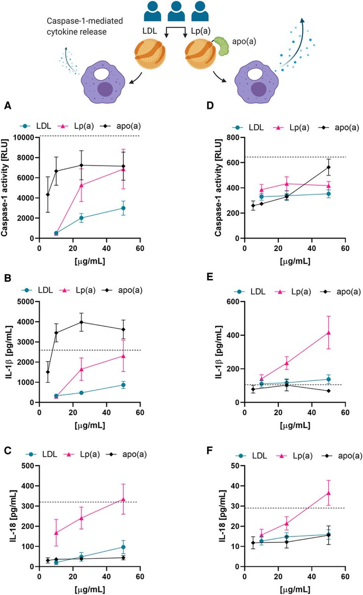 'OxPLs are able to boost inflammation by inducing a “hypermetabolic” state in phagocytes that amplifies the production of IL-1β ' ' Lp(a) is pro-inflammatory already in young healthy individuals without confounding effects of existing ASCVD'.