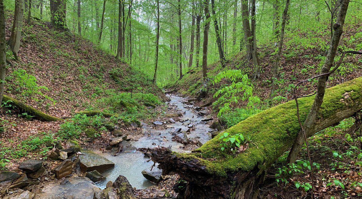 Looking for a sign to get out and enjoy nature today? Here it is! Get outside and check out our website for all your outdoor needs!

#outdoors #outside #camping #hiking #hunting #fishing #adventure #outdooradventuring #adventurefun