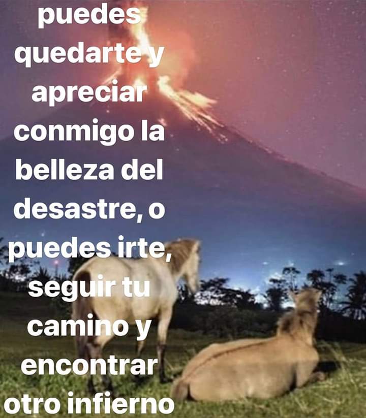 nxstypxet's tweet photo. https://t.co/XkxEjlyvTn